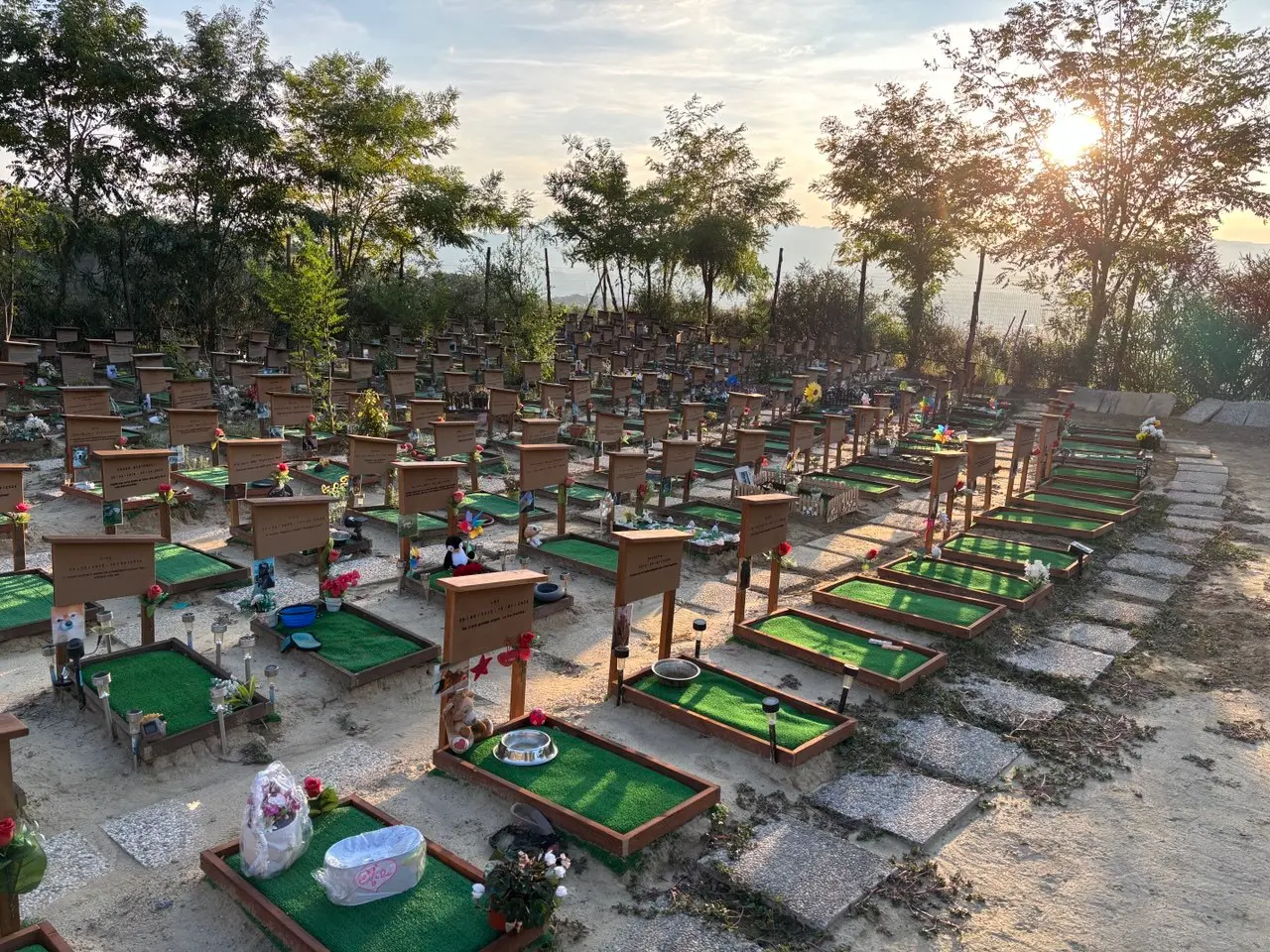 «L’appello del network LaC decisivo per la nostra struttura»:\u00A0il cimitero per animali “La Dolce Quiete” rilancia e si rinnova\n