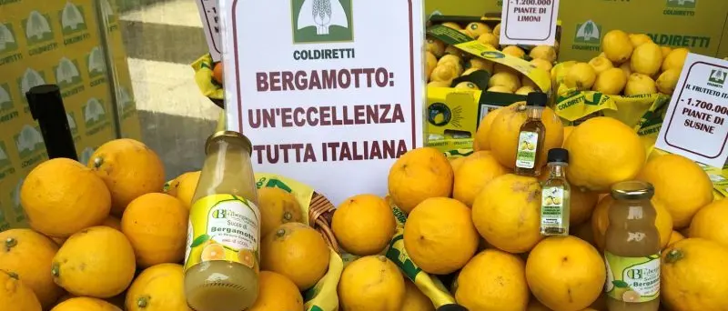 Campagna agrumicola, diverse storture di mercato: Coldiretti Reggio chiede alla Camera di Commercio un incontro con gli operatori\n
