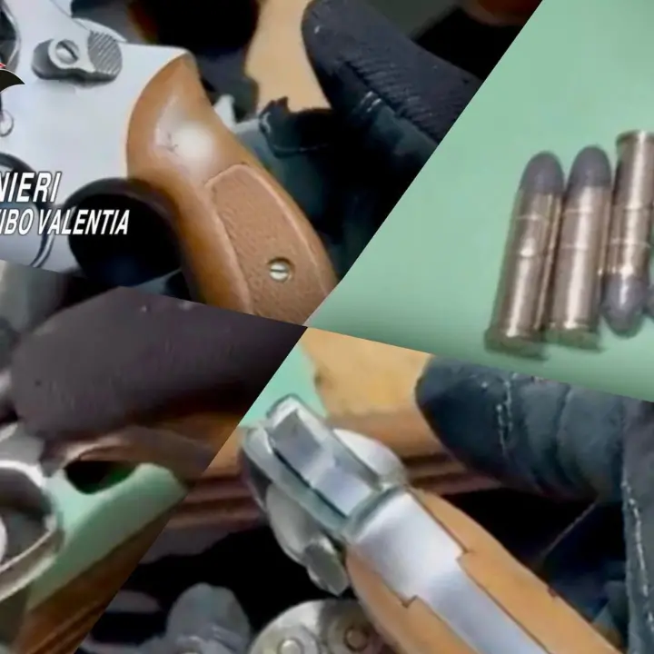 Nuovo sequestro di armi nel Vibonese, è il terzo in due giorni: arrestato un 69enne di Arena\n