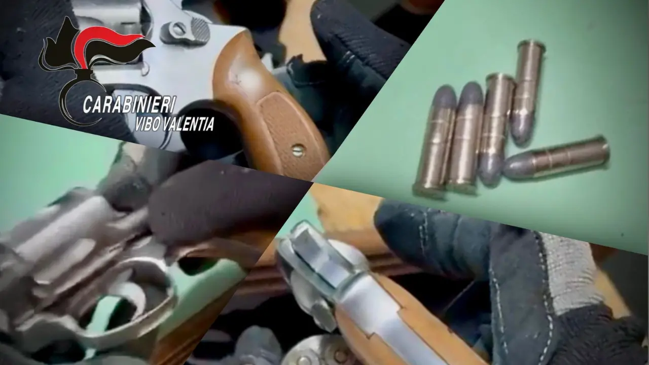 Nuovo sequestro di armi nel Vibonese, è il terzo in due giorni: arrestato un 69enne di Arena\n