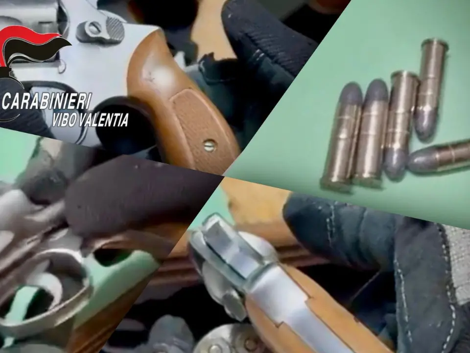Nuovo sequestro di armi nel Vibonese, è il terzo in due giorni: arrestato un 69enne di Arena