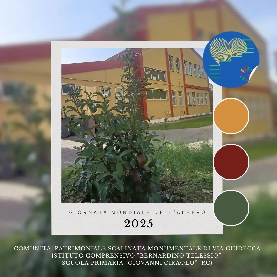 Reggio, “L’albero che unisce”: la comunità\u00A0di Via Giudecca celebra la vita\n