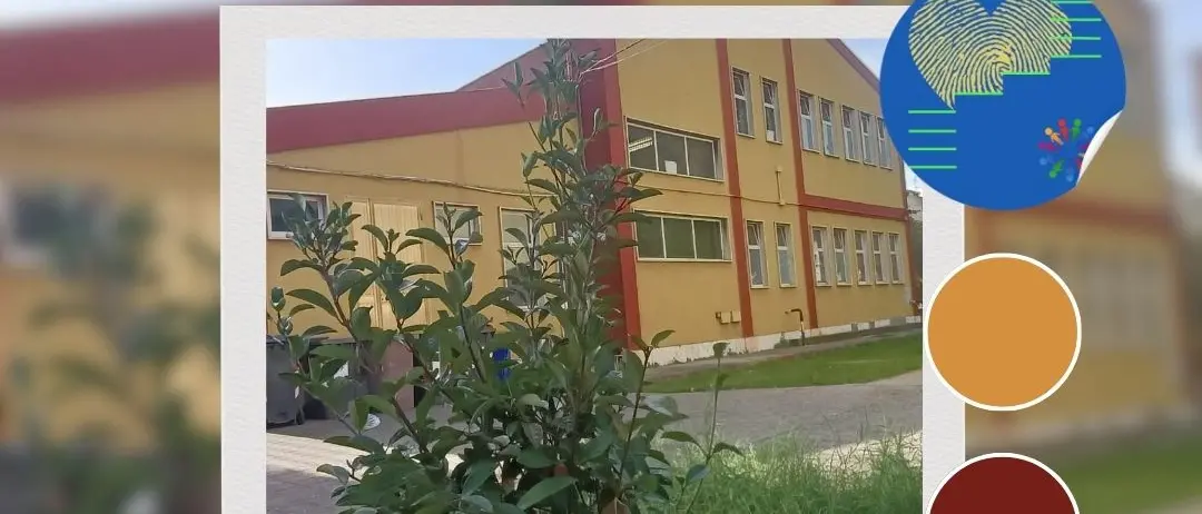 Reggio, “L’albero che unisce”: la comunità\u00A0di Via Giudecca celebra la vita\n