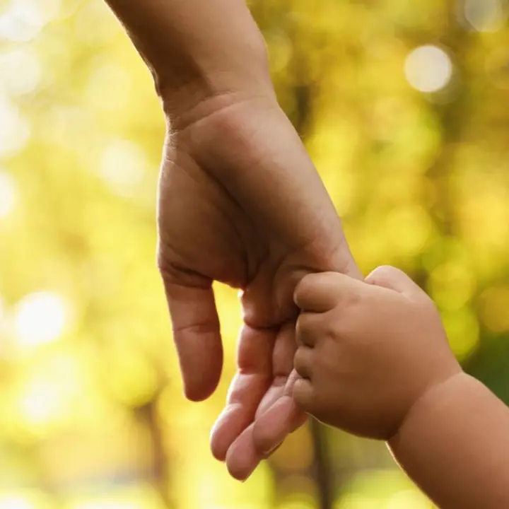 Gli Ats di Vibo, Serra\u00A0e Spilinga costituiscono l’Albo per le famiglie affidatarie. Ecco i requisiti per iscriversi\n