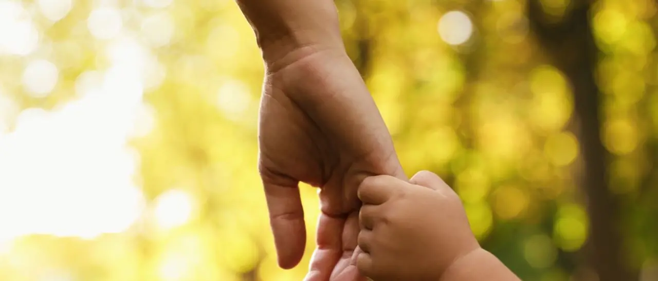 Gli Ats di Vibo, Serra\u00A0e Spilinga costituiscono l’Albo per le famiglie affidatarie. Ecco i requisiti per iscriversi\n