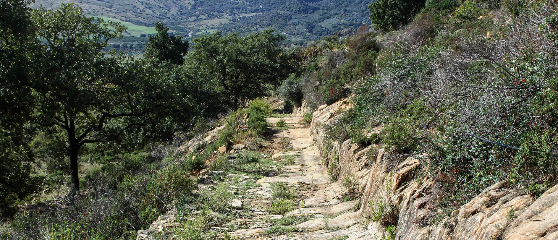 Il 30 novembre la nuova escursione di “Gente in Aspromonte”\n