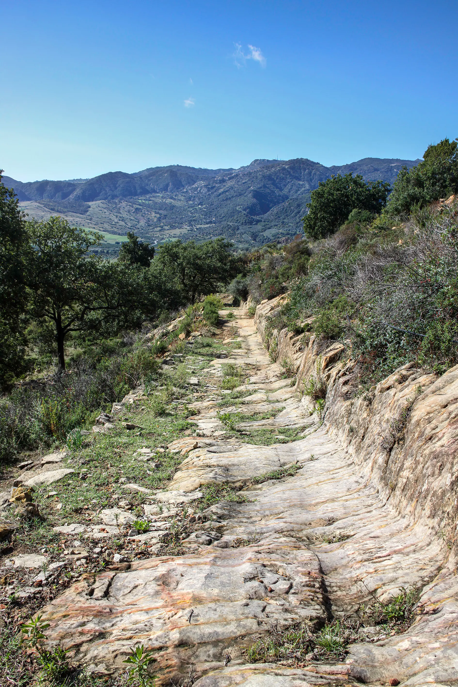 Il 30 novembre la nuova escursione di “Gente in Aspromonte”\n