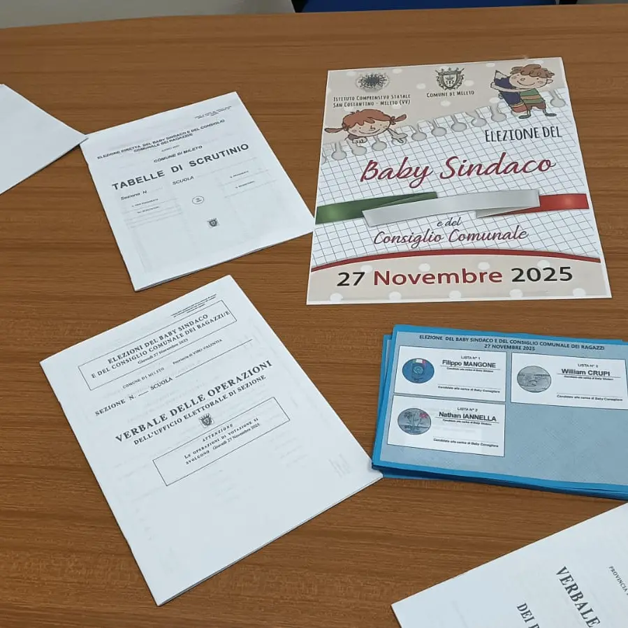A Mileto\u00A0concluse\u00A0le elezioni per il nuovo sindaco baby: è il piccolo William Crupi\n