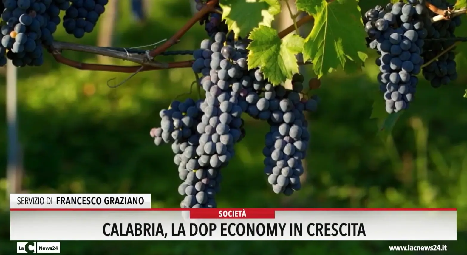 Calabria, la dop economy in crescita