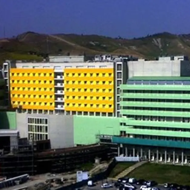 Terremoto alla Magna Graecia, ministero della Salute e università rinunciano ai risarcimenti: non saranno tra le parti civili\n