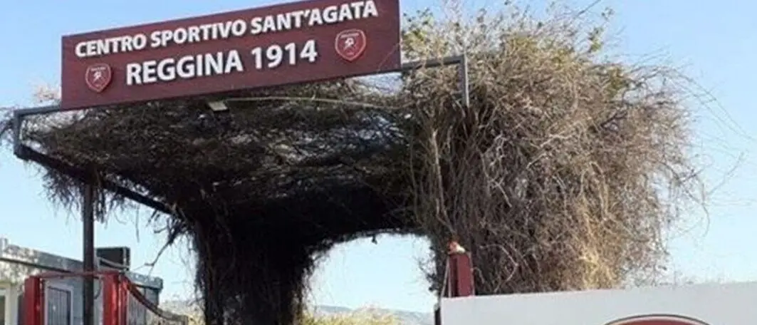 Reggina-Gela, i convocati di mister Torrisi\n