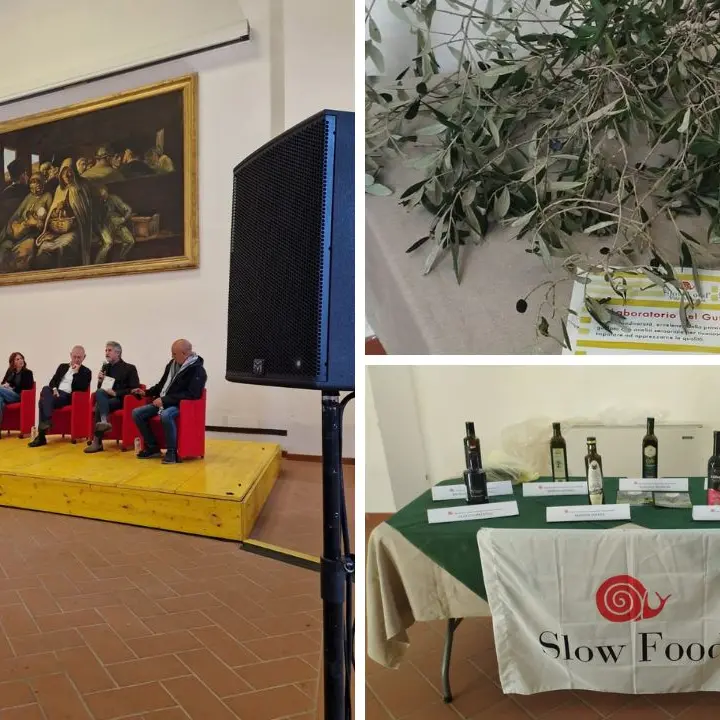 Slow Food esalta l’olio\u00A0vibonese: nove aziende ospiti del laboratorio di analisi sensoriale promosso dall’associazione\n