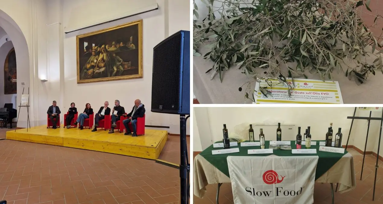 Slow Food esalta l’olio\u00A0vibonese: nove aziende ospiti del laboratorio di analisi sensoriale promosso dall’associazione\n