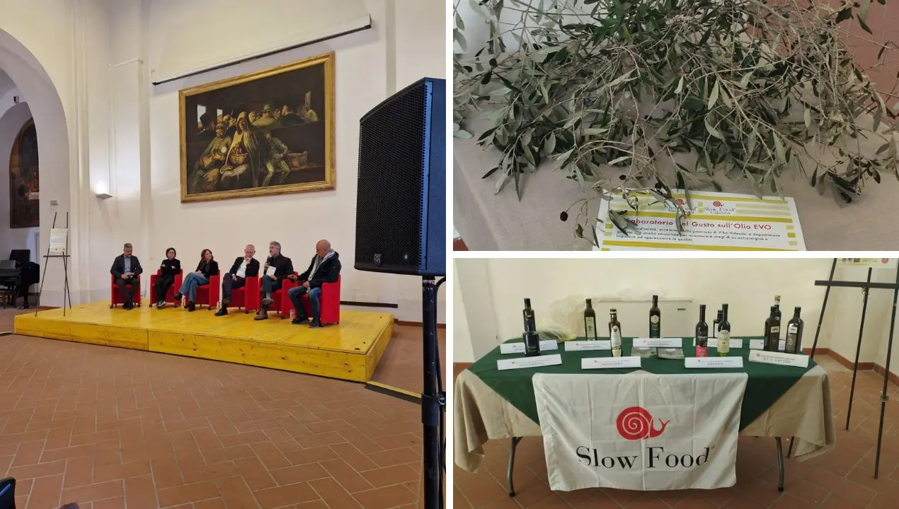 Slow Food esalta l’olio\u00A0vibonese: nove aziende ospiti del laboratorio di analisi sensoriale promosso dall’associazione\n
