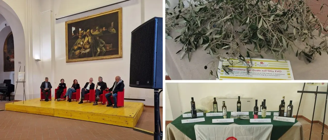 Slow Food esalta l’olio\u00A0vibonese: nove aziende ospiti del laboratorio di analisi sensoriale promosso dall’associazione\n
