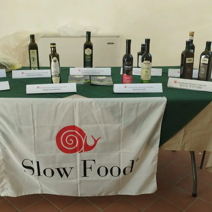 L’olio vibonese sotto i riflettori di Slow Food: nove aziende protagoniste del laboratorio sensoriale
