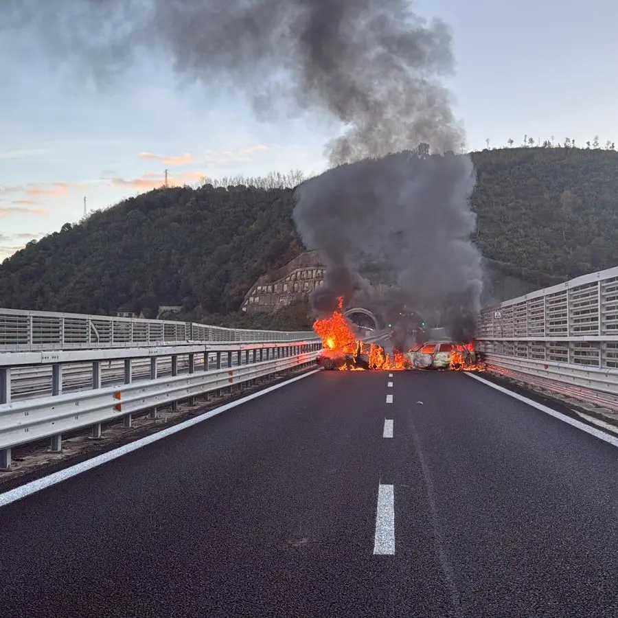Rapina al portavalori, il SAVIP: «Guardie giurate esposte, serve una strategia nazionale di prevenzione»\n