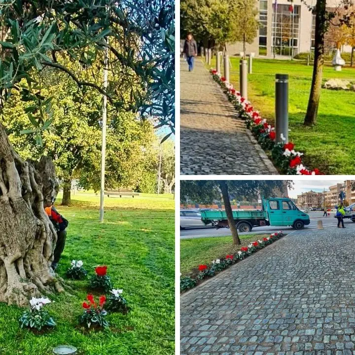 Verde pubblico a Rende, filo diretto del Comune con i cittadini per documentare gli interventi di manutenzione\n