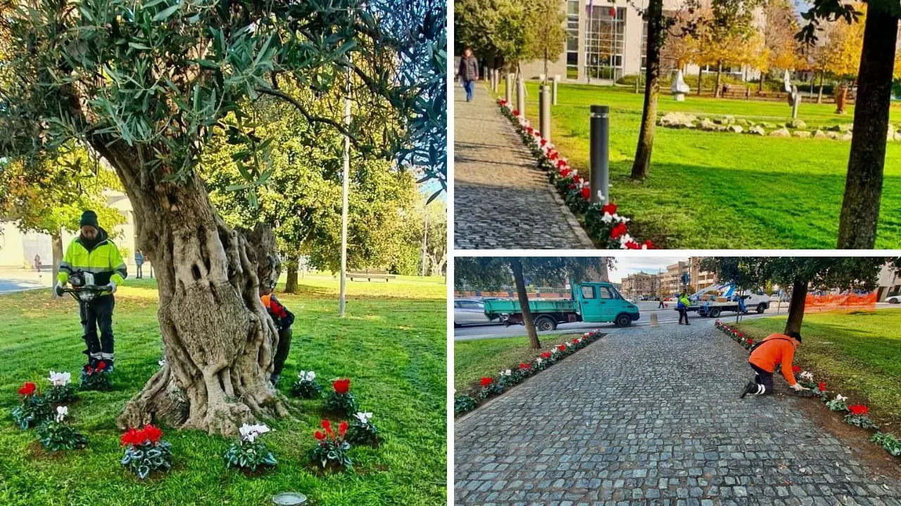 Verde pubblico a Rende, filo diretto del Comune con i cittadini per documentare gli interventi di manutenzione\n