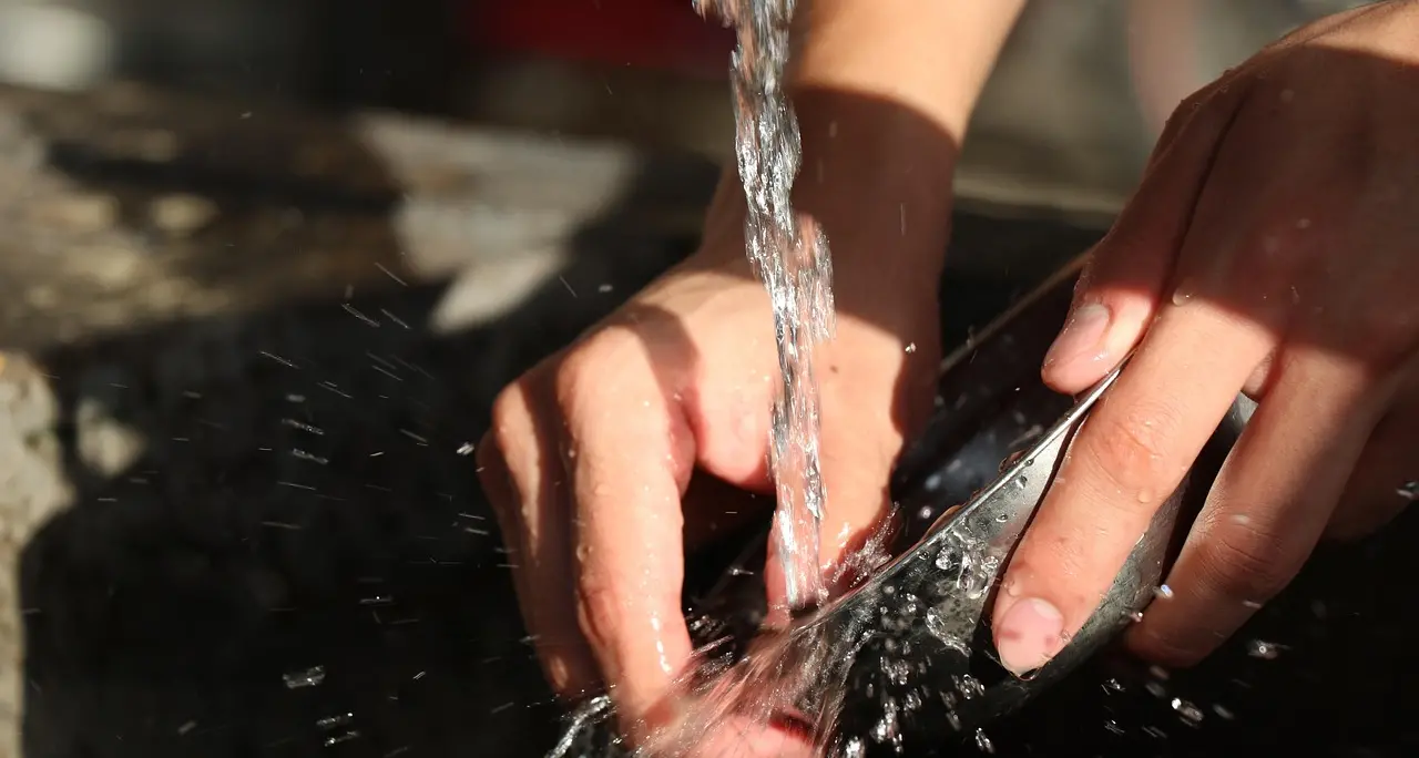 «Il capo in giro con il macchinone, io sfruttata e sfrattata da casa»: la denuncia di una cuoca di Lamezia