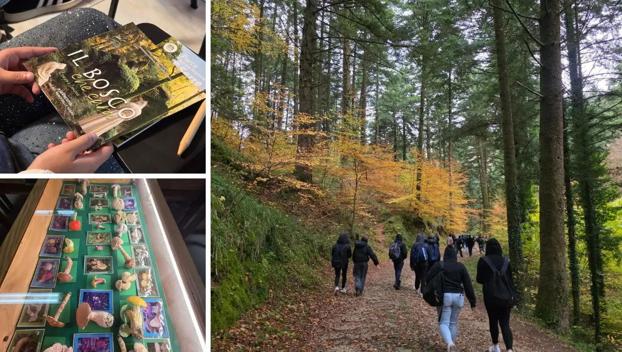 Un’immersione nella natura al bosco Archiforo di Serra San Bruno: protagonisti 50 studenti dell’Einaudi di Lamezia\n