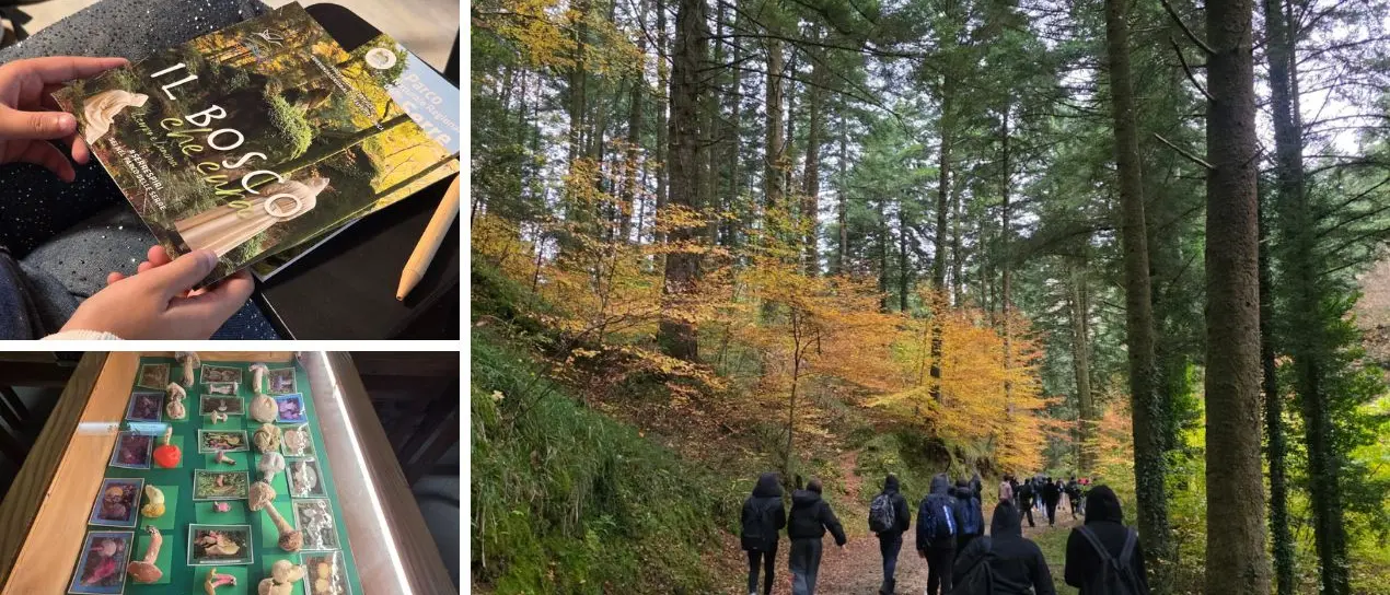 Un’immersione nella natura al bosco Archiforo di Serra San Bruno: protagonisti 50 studenti dell’Einaudi di Lamezia\n