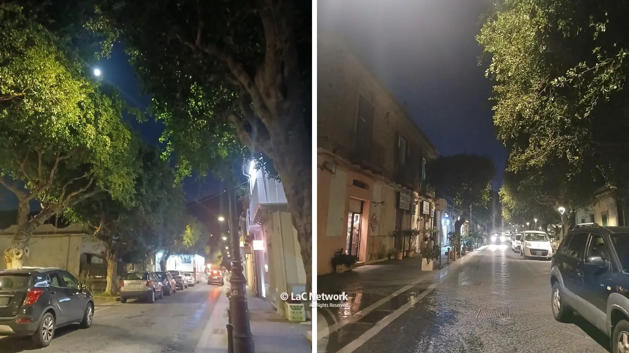 <p>Gli alberi di&nbsp;Corso Michele Bianchi che dovrebbero ospitare le ghirlande di led</p>\\n