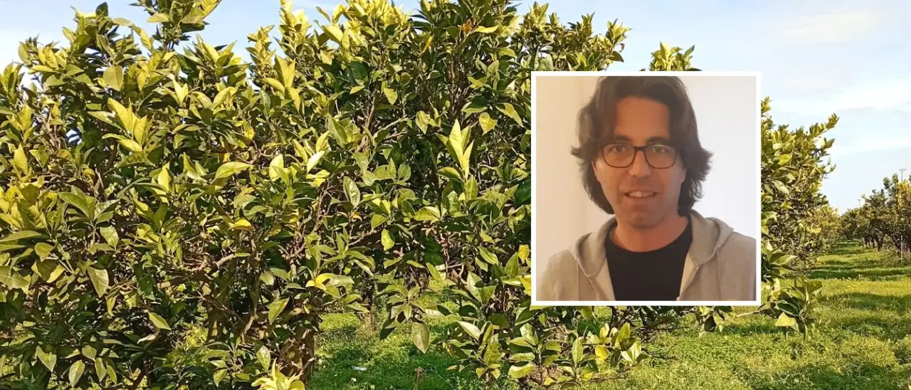 Nei terreni confiscati alla ‘ndrangheta rubati 180 quintali di arance, la coop Valle del Marro:\u00A0«Non vogliono farci andare avanti»