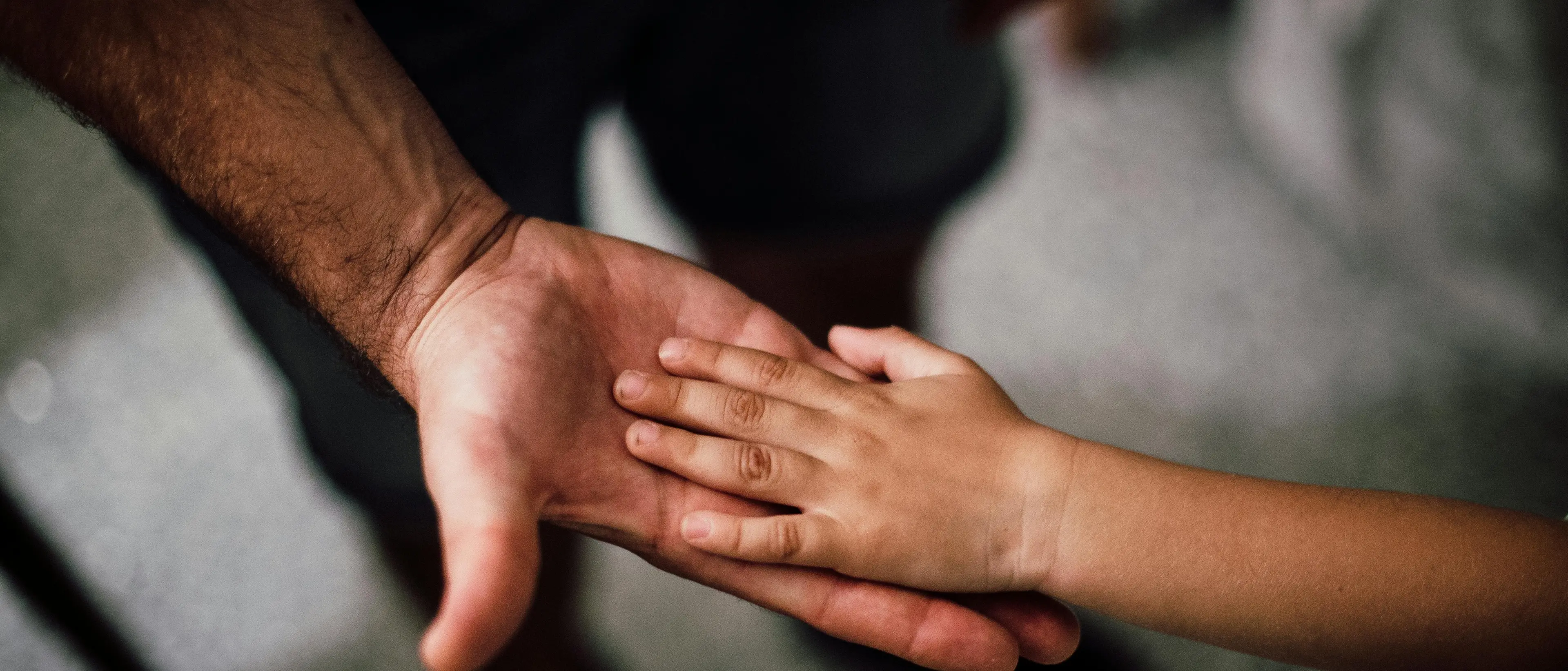 Save the children premia un ricerca sulla tutela di bimbi e ragazzi di famiglie mafiose calabresi\n