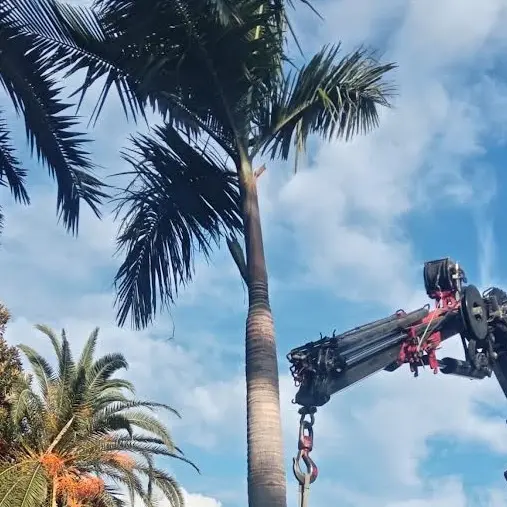 Riqualificazione aree verdi e di pregio sul Lungomare monumentale e alla Villa comunale, Merenda: «Un progetto che restituisce lustro e dignità a spazi verdi che rappresentano un patrimonio collettivo»\n