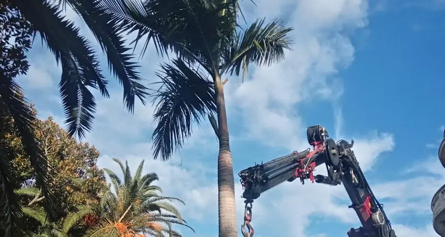 Riqualificazione aree verdi e di pregio sul Lungomare monumentale e alla Villa comunale, Merenda: «Un progetto che restituisce lustro e dignità a spazi verdi che rappresentano un patrimonio collettivo»\n