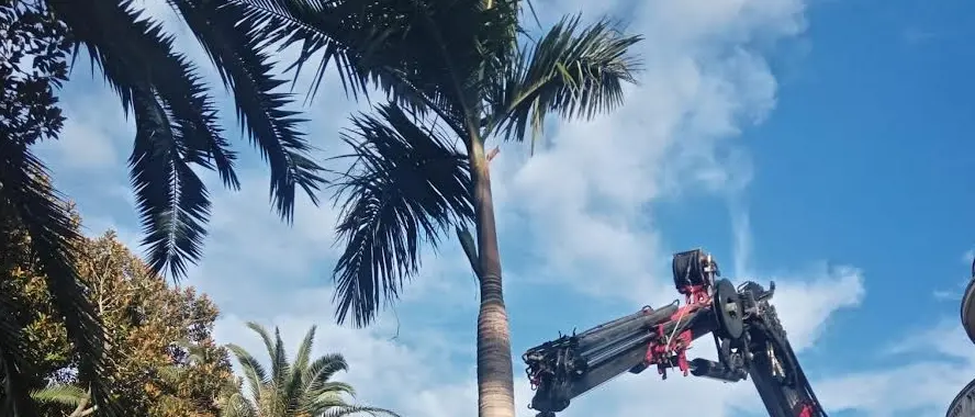 Riqualificazione aree verdi e di pregio sul Lungomare monumentale e alla Villa comunale, Merenda: «Un progetto che restituisce lustro e dignità a spazi verdi che rappresentano un patrimonio collettivo»\n