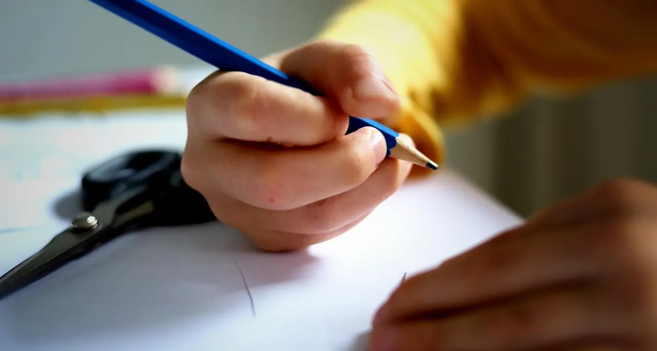 In Italia 350mila studenti con disabilità, in aula uno ogni 20. In Calabria sono quasi 11mila