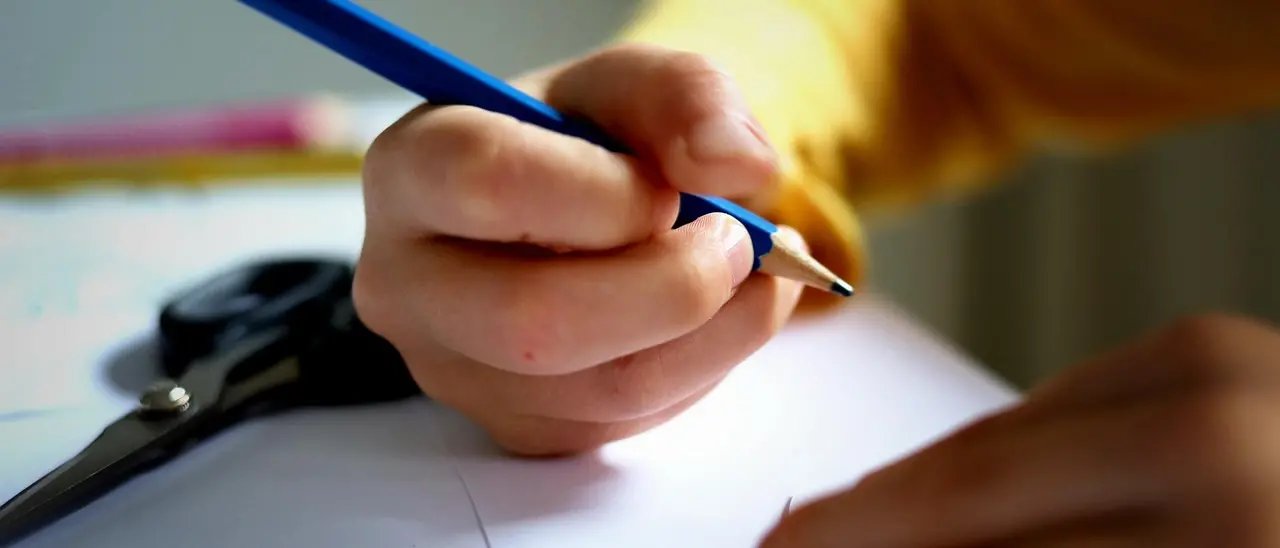 In Italia 350mila studenti con disabilità, in aula uno ogni 20. In Calabria sono quasi 11mila