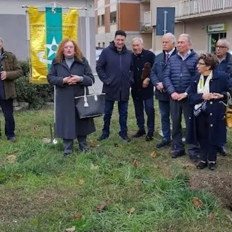 A Vibo va in scena la festa dell’albero, un rito antico che educa al rispetto della natura e dell’ambiente\n