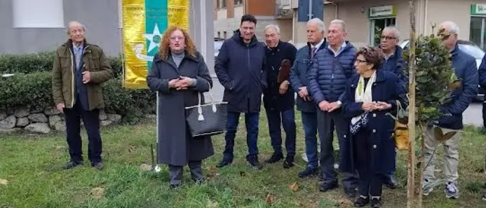 A Vibo va in scena la festa dell’albero, un rito antico che educa al rispetto della natura e dell’ambiente\n