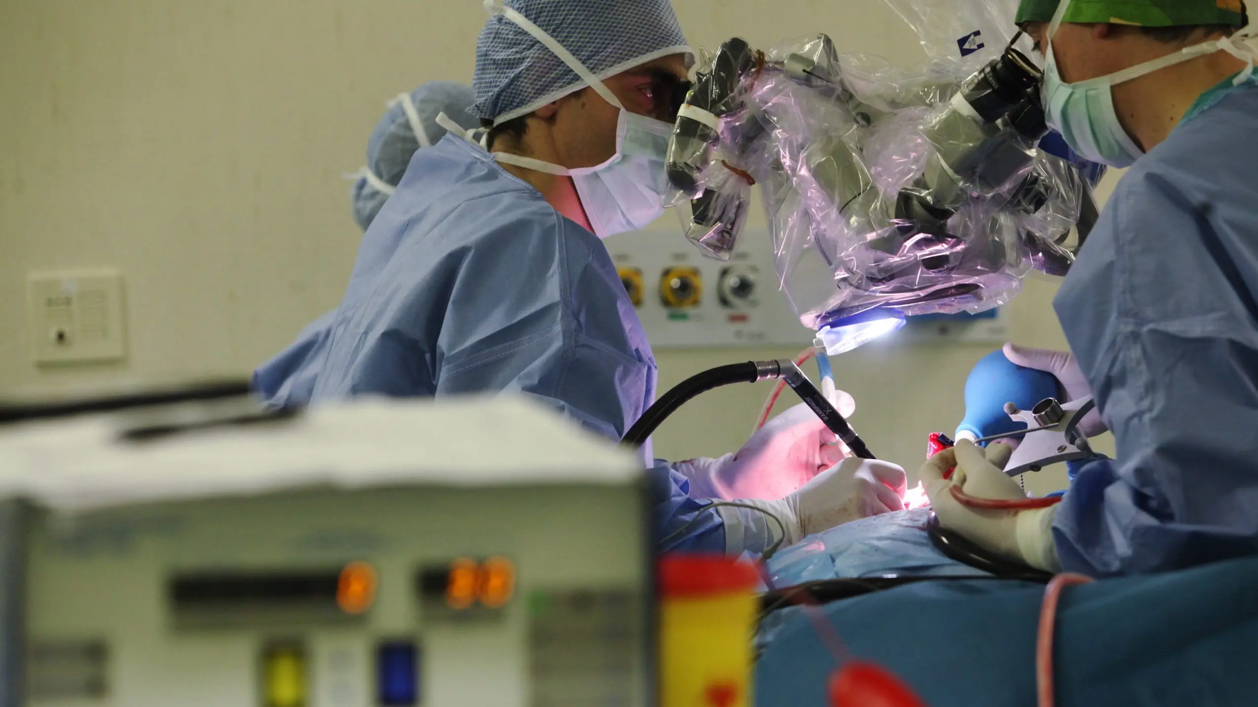 Calabria, Laghi propone contributi per la circoncisione rituale: 85mila euro all’anno per fermare le pratiche clandestine\n