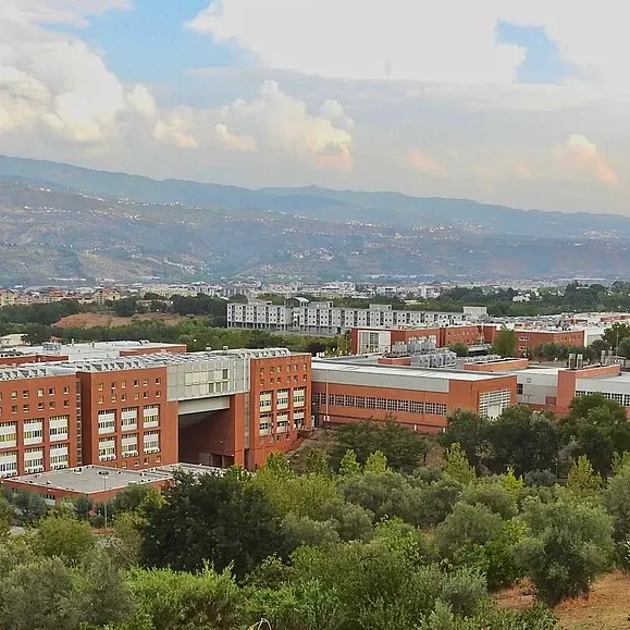 Falsi esami all’Unical tra il 2004 e il 2011, la sentenza d'Appello arriverà a 20 anni dai casi (con il rischio prescrizione)