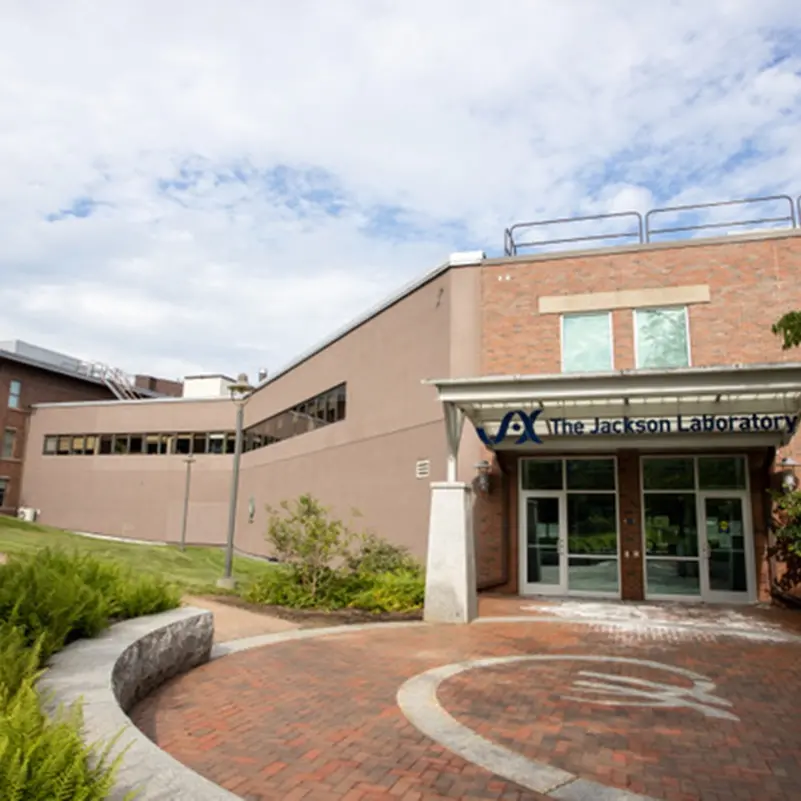 Fondazione Chops\u00A0e\u00A0Centro Traslazionale delle Malattie Rare del The Jackson Laboratory\u00A0insieme per la ricerca.\n