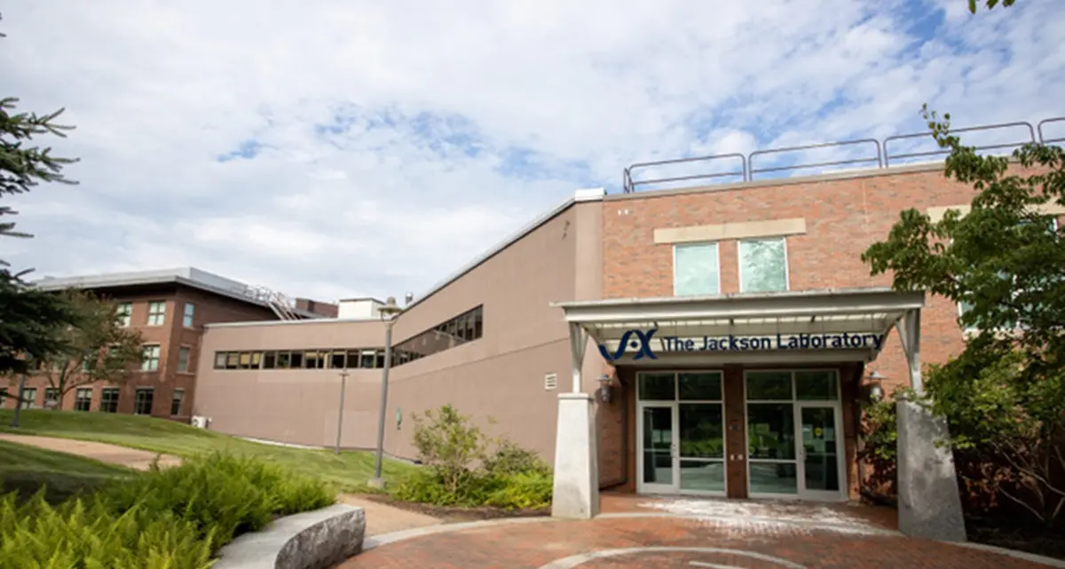 Fondazione Chops\u00A0e\u00A0Centro Traslazionale delle Malattie Rare del The Jackson Laboratory\u00A0insieme per la ricerca.\n