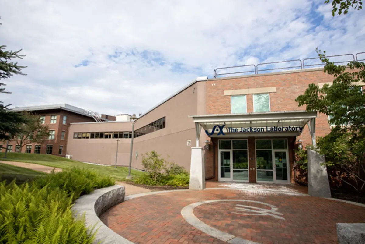 Fondazione Chops\u00A0e\u00A0Centro Traslazionale delle Malattie Rare del The Jackson Laboratory\u00A0insieme per la ricerca.\n