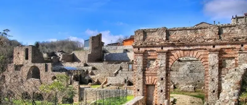 Il Tar riammette Mongiana, Francavilla e Monterosso al bando per la riqualificazione dei piccoli comuni\n