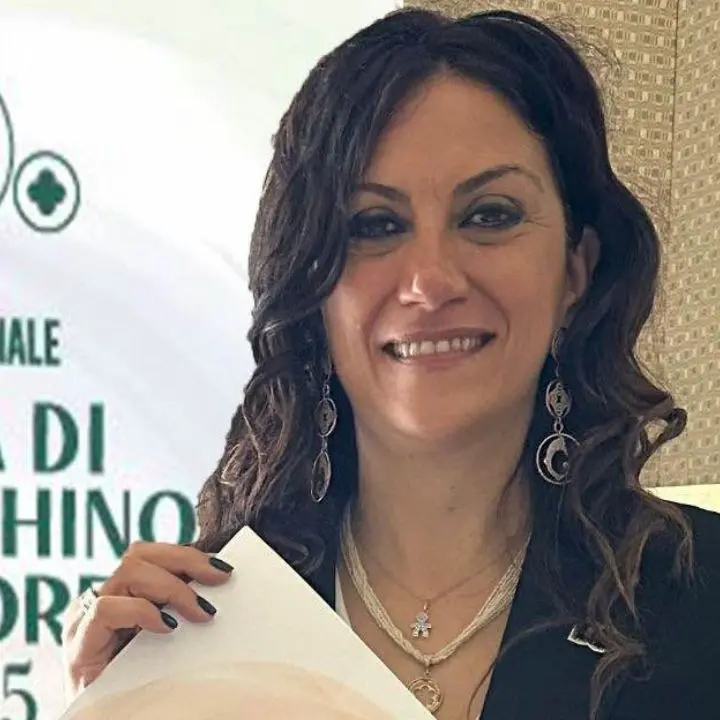 San Giovanni in Fiore, Succurro sceglie la decadenza da sindaco: «È la legge»