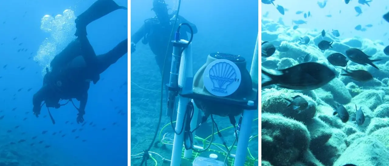 Dal crepitio dei gamberetti alle balenottere: la ricerca calabrese che ascolta gli abissi dello Stretto\u00A0\n