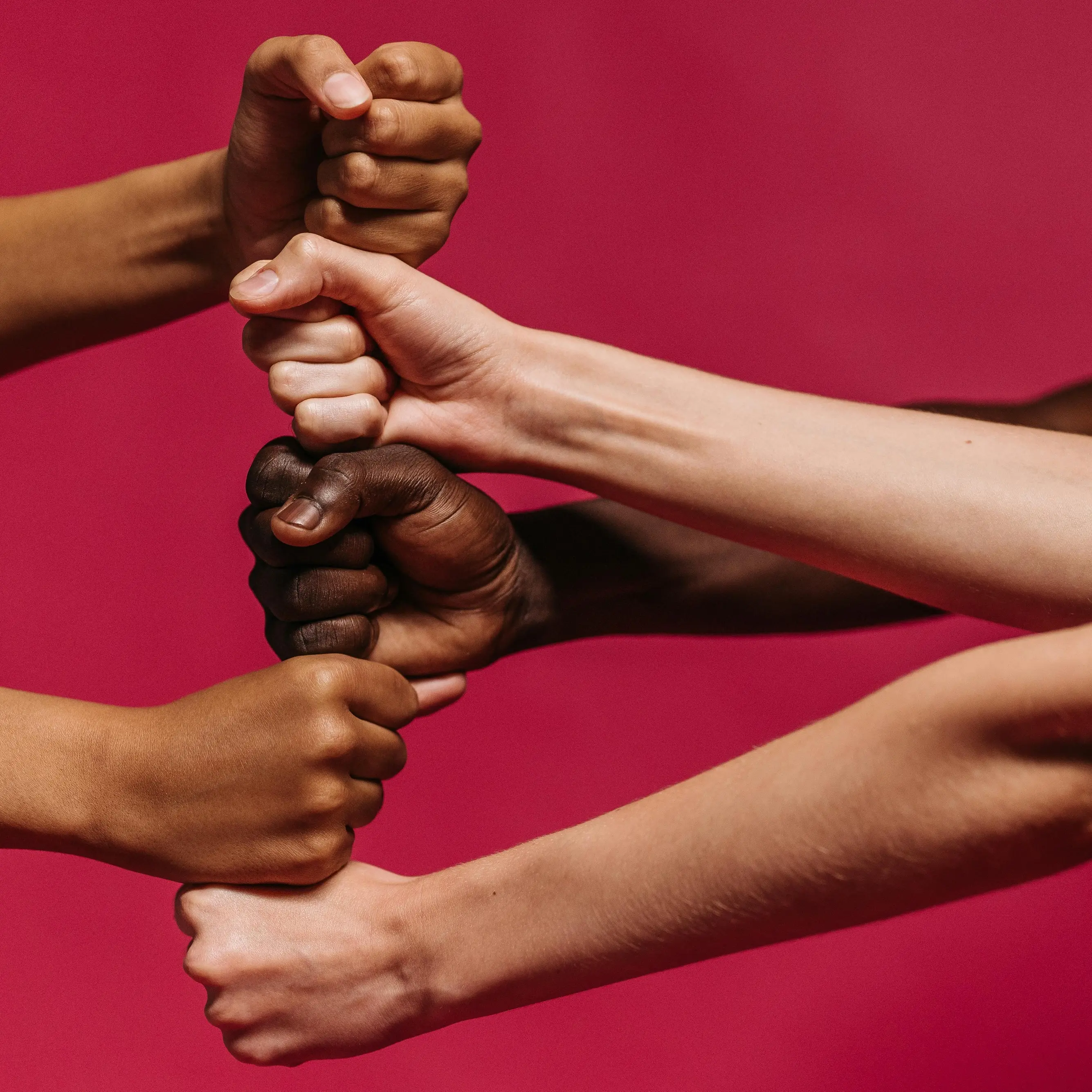 La Kasbah, presidio di interculturalità e tutela dei diritti a Cosenza: «Puntiamo a migliorare le vite delle persone»\n\n\n