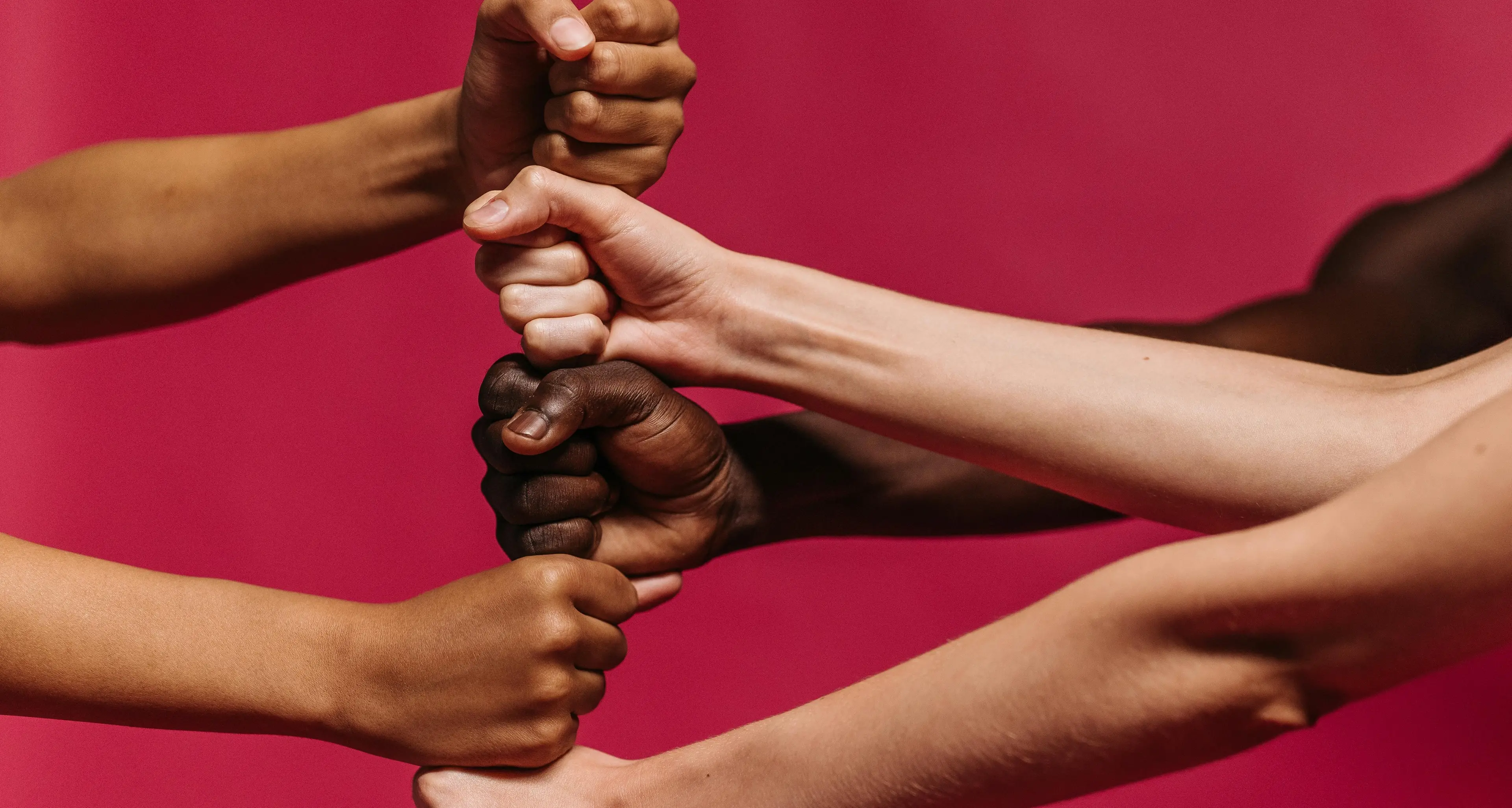 La Kasbah, presidio di interculturalità e tutela dei diritti a Cosenza: «Puntiamo a migliorare le vite delle persone»\n\n\n