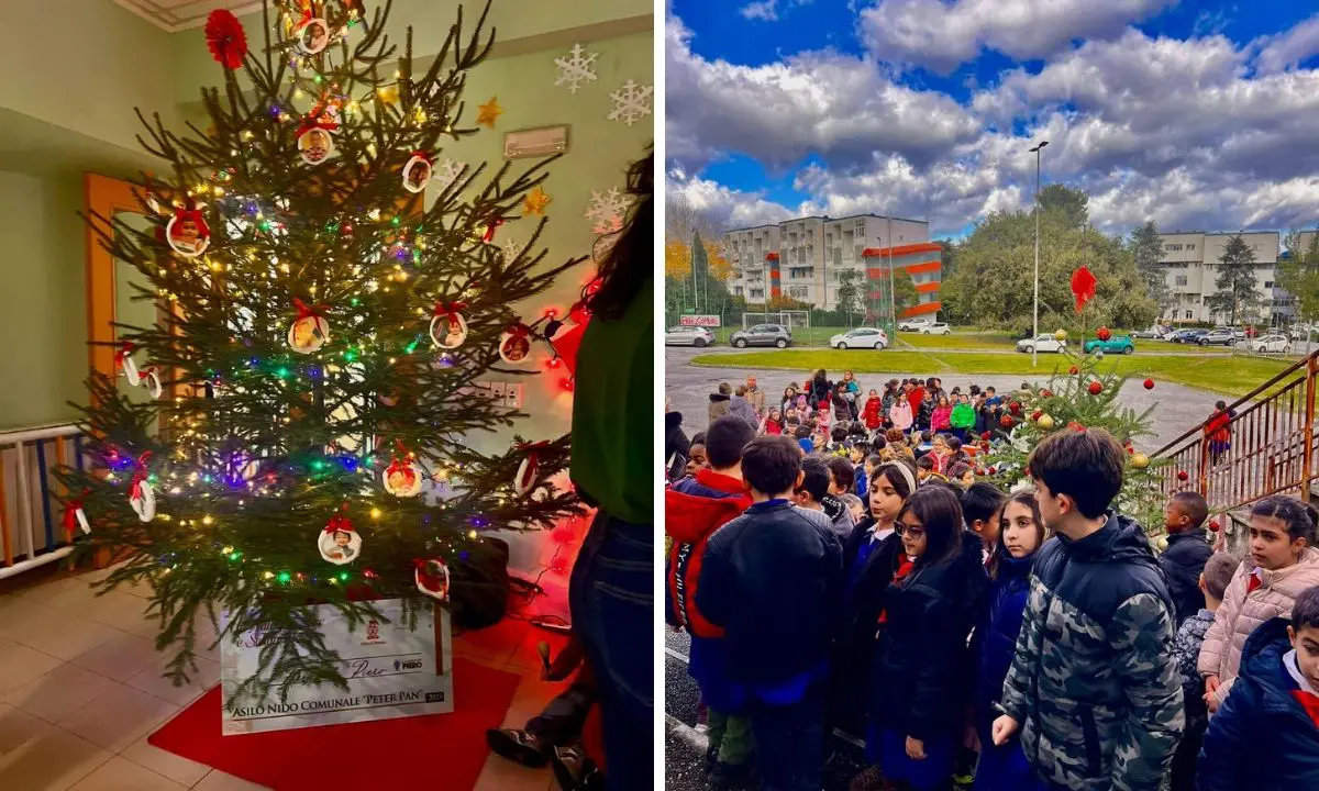Rende, accensione dell’Albero di Natale solidale negli istituti scolastici della città\n
