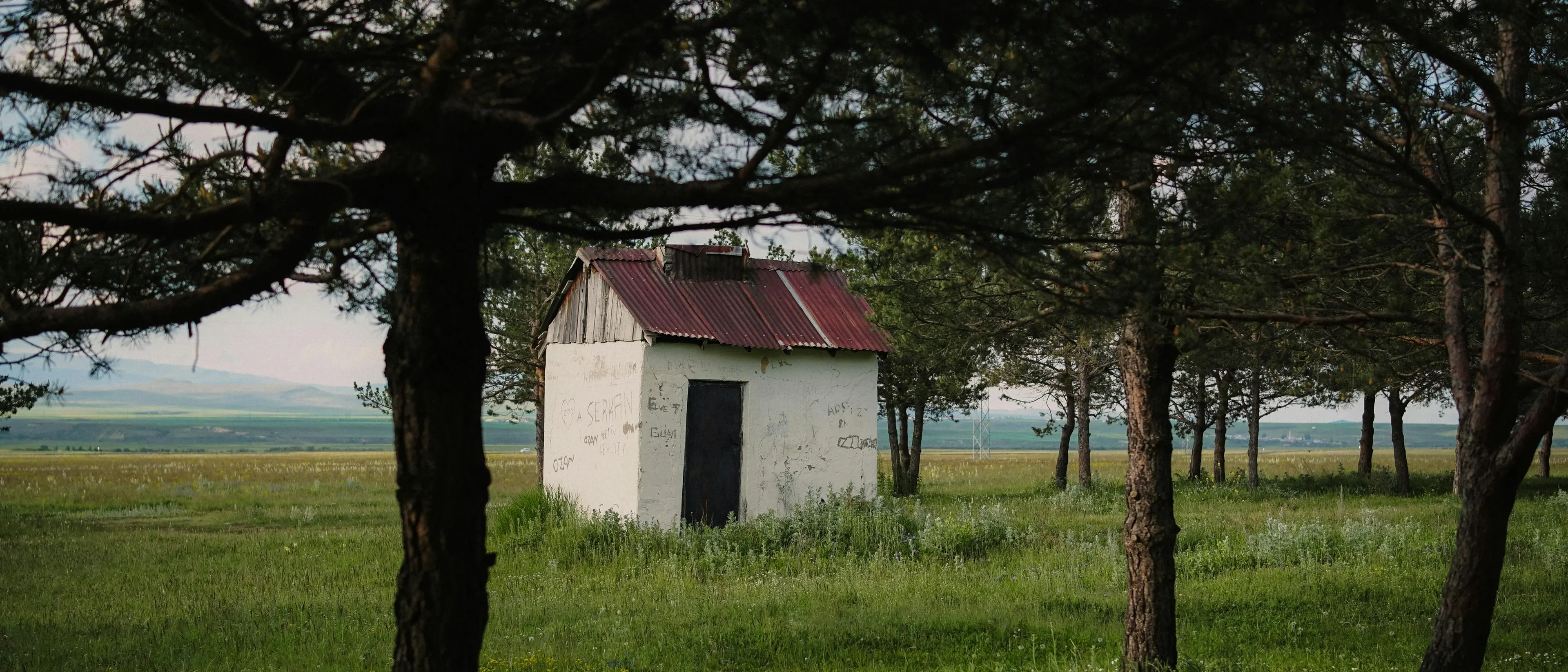 Ho lasciato Milano per la Calabria: altro che spopolamento, cominciamo a valorizzare i nostri borghi\n