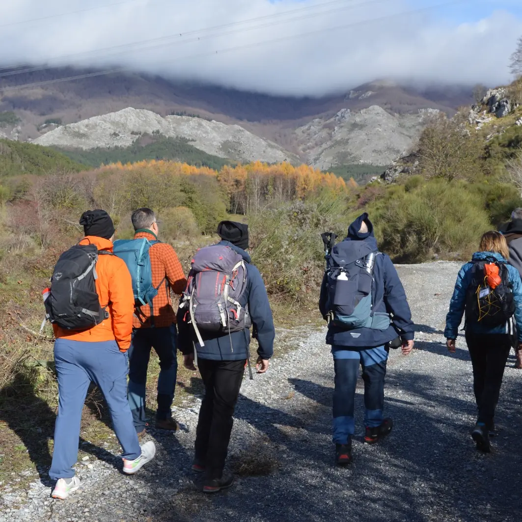 Pollino-Sybaris, il progetto di turismo lento e sostenibile che unisce 30 comuni pronto a diventare destinazione\n