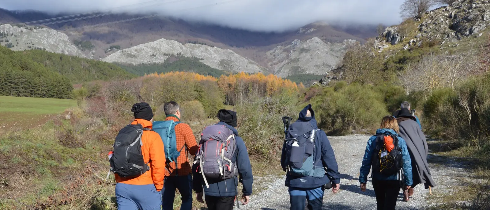 Pollino-Sybaris, il progetto di turismo lento e sostenibile che unisce 30 comuni pronto a diventare destinazione\n
